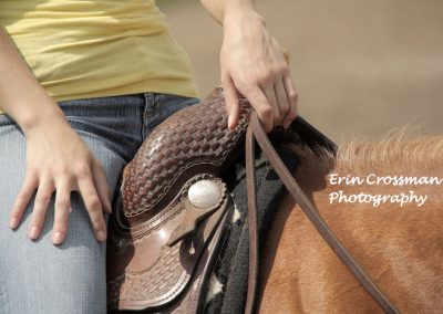 horse-hands-ride-saddle