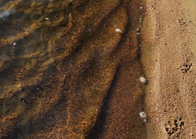 sand-beach-prints