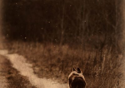 zephyr-snow-trail-sepia